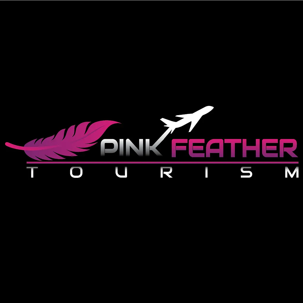 Logo design portfolio showcase